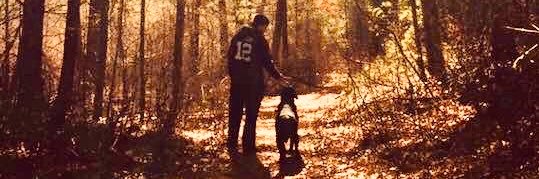 brayton104's profile banner image