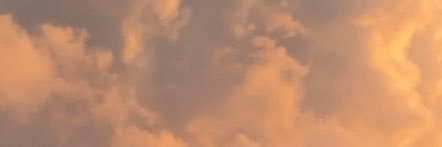 HollyBlunt's profile banner image