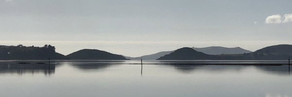 tinkerbel405 Profile Banner