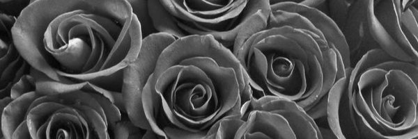 _cambecker Profile Banner