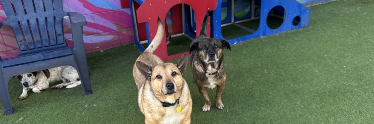 Jake Guengerich banner