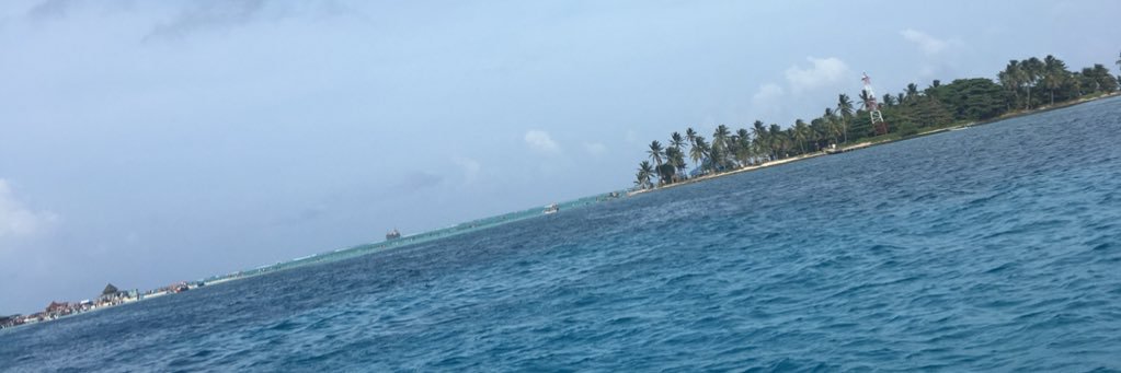 Daniela0625's profile banner image