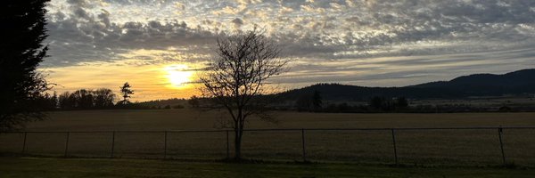 relytstrebor Profile Banner