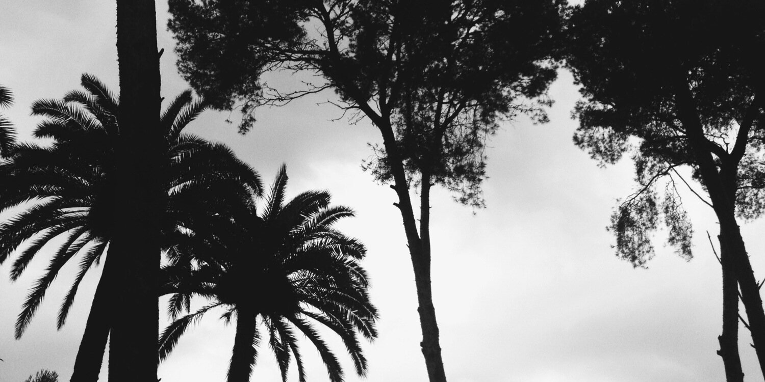 jossshhh's profile banner image