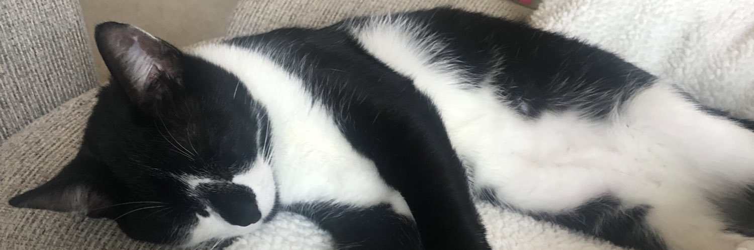 summerdeichler's profile banner image