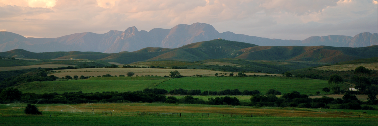 HPG_ZA's profile banner image