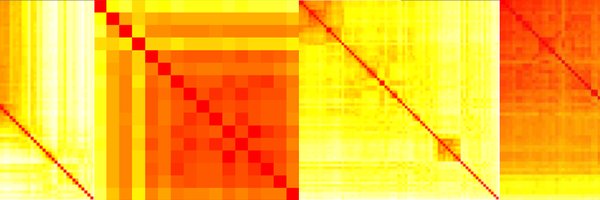 JuliaSeiermann Profile Banner