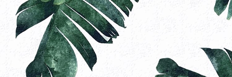 cassyborgen's profile banner image