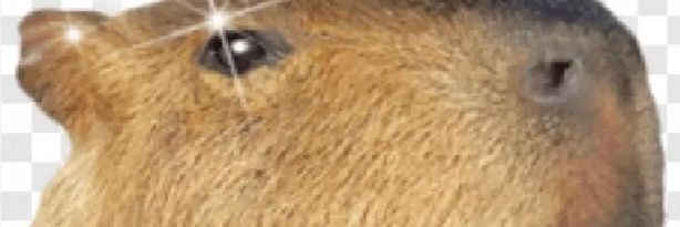 ThatyQs's profile banner image