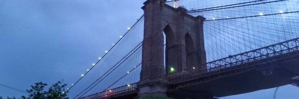 Kim Horton banner