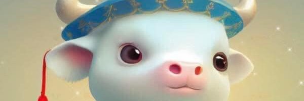 Emy Dolphin banner
