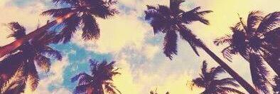 kate connor banner