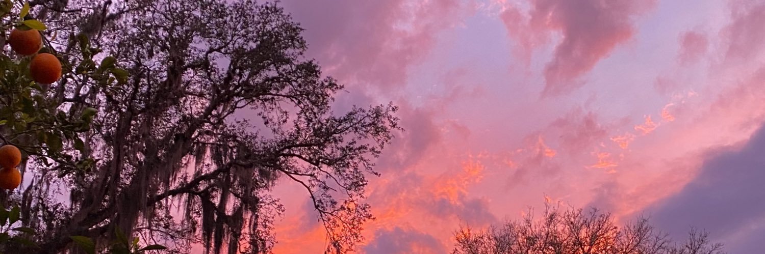 embodenn's profile banner image
