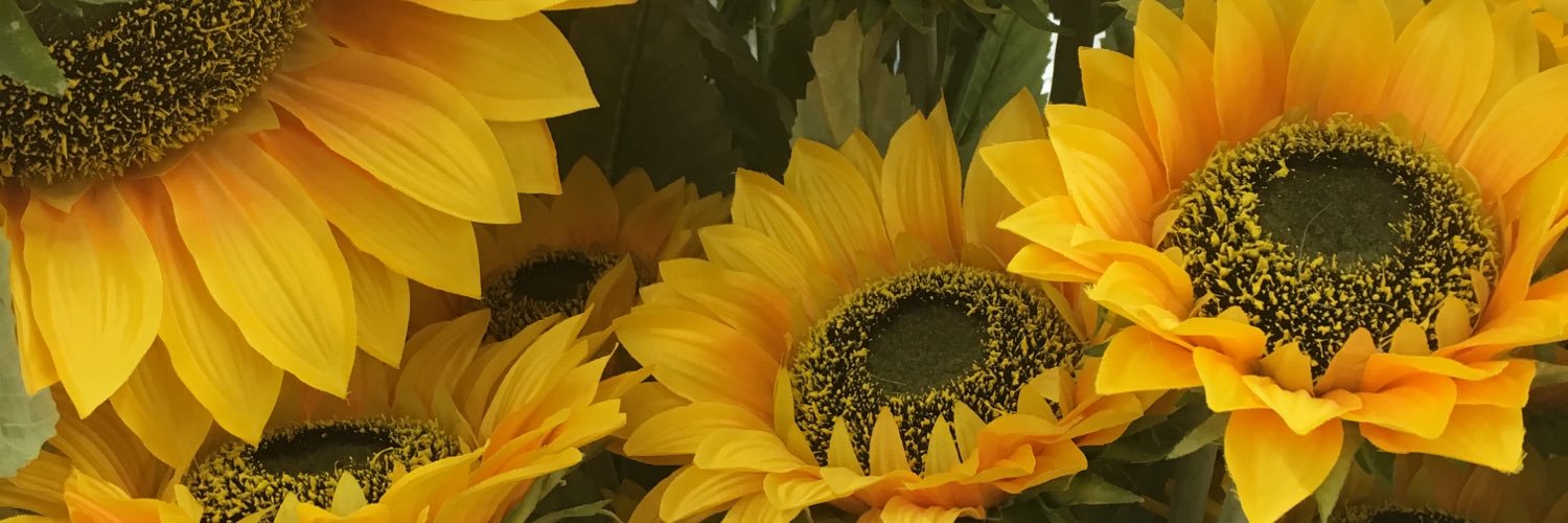 haleybugg18's profile banner image