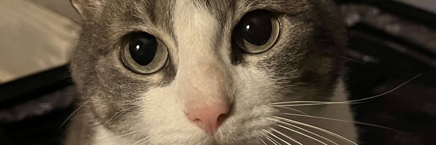 andreadaavila's profile banner image