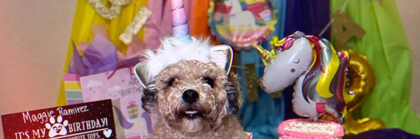 kathyram04's profile banner image