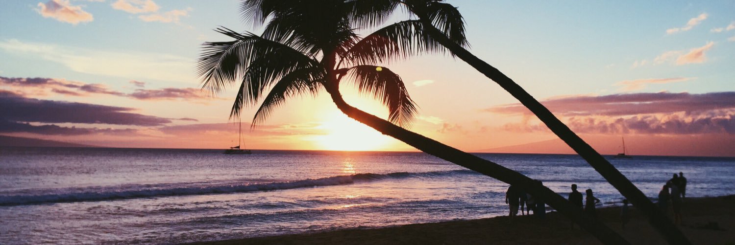 alexa_fishman's profile banner image