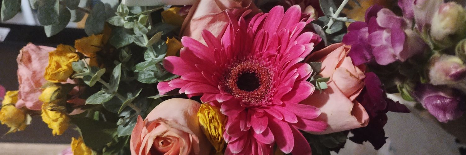 Isabel 🚀... 🌘   ✨💫 banner