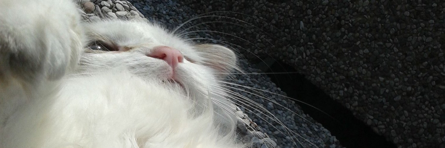 Ferreax's profile banner image