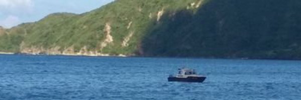 ali334747 Profile Banner