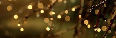 Angie Hutcheson banner