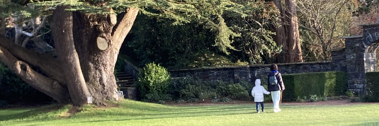 Annabel Rice banner