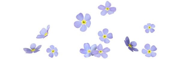 Its_Florencia's profile banner image