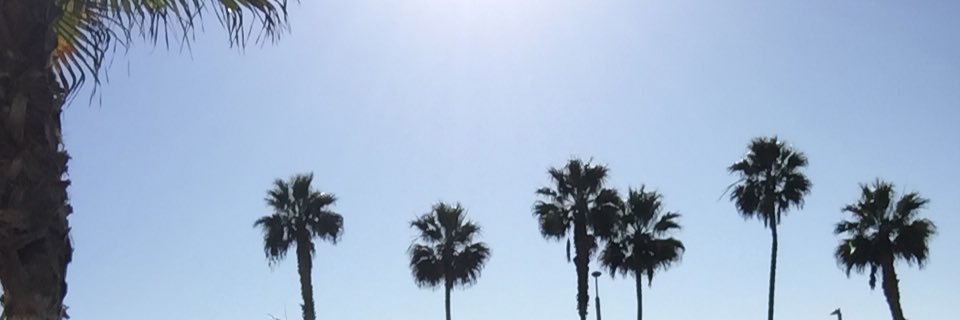 dbremser13's profile banner image