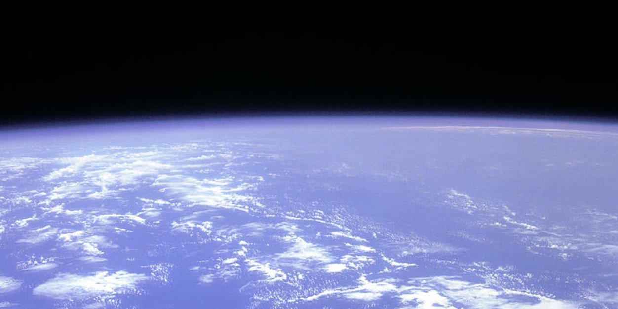 Snake Anthony banner