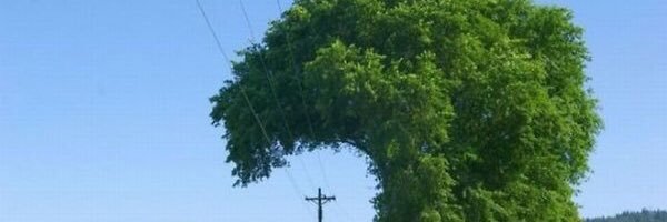 RockyBless316's profile banner image