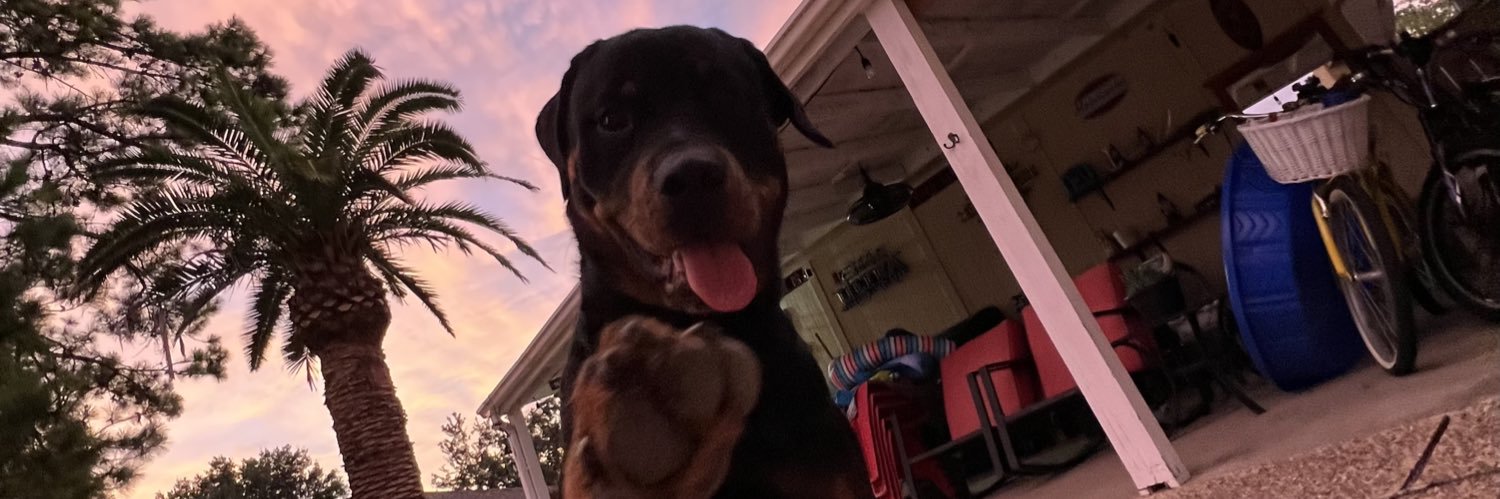 jackiiee_c's profile banner image