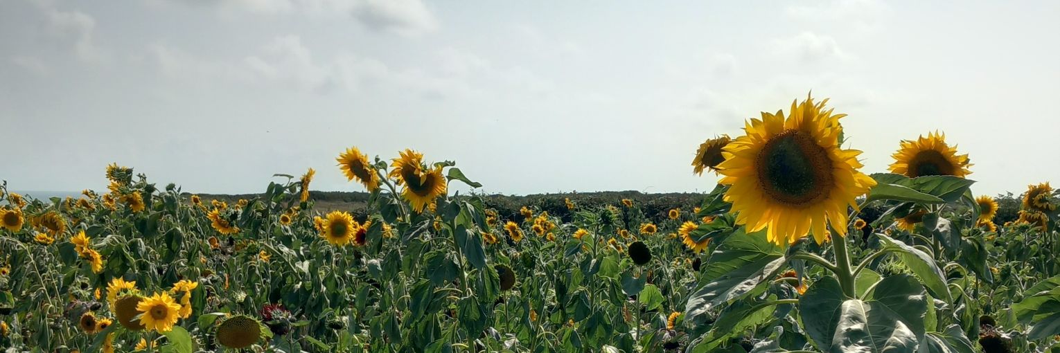 abbikeag's profile banner image