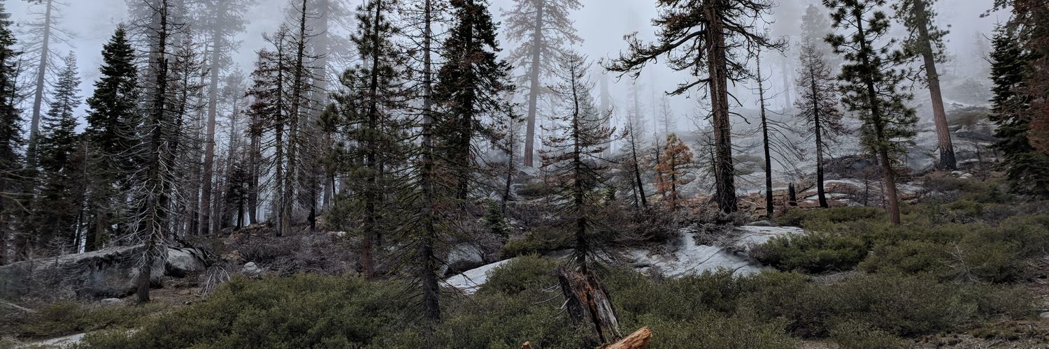 Bobbeh1's profile banner image