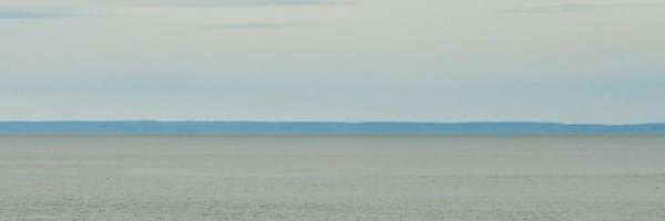 heartsofstem Profile Banner