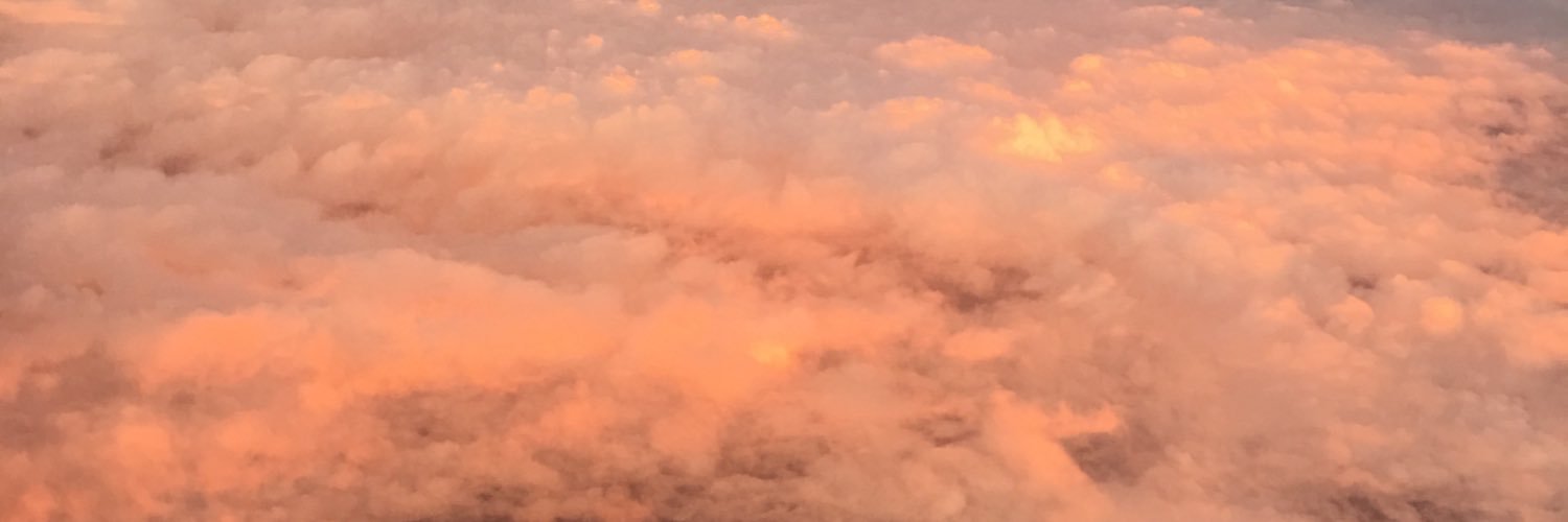 Savvy Davis Jr. banner