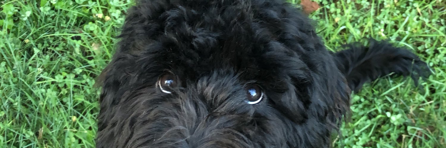 lyssahesker's profile banner image