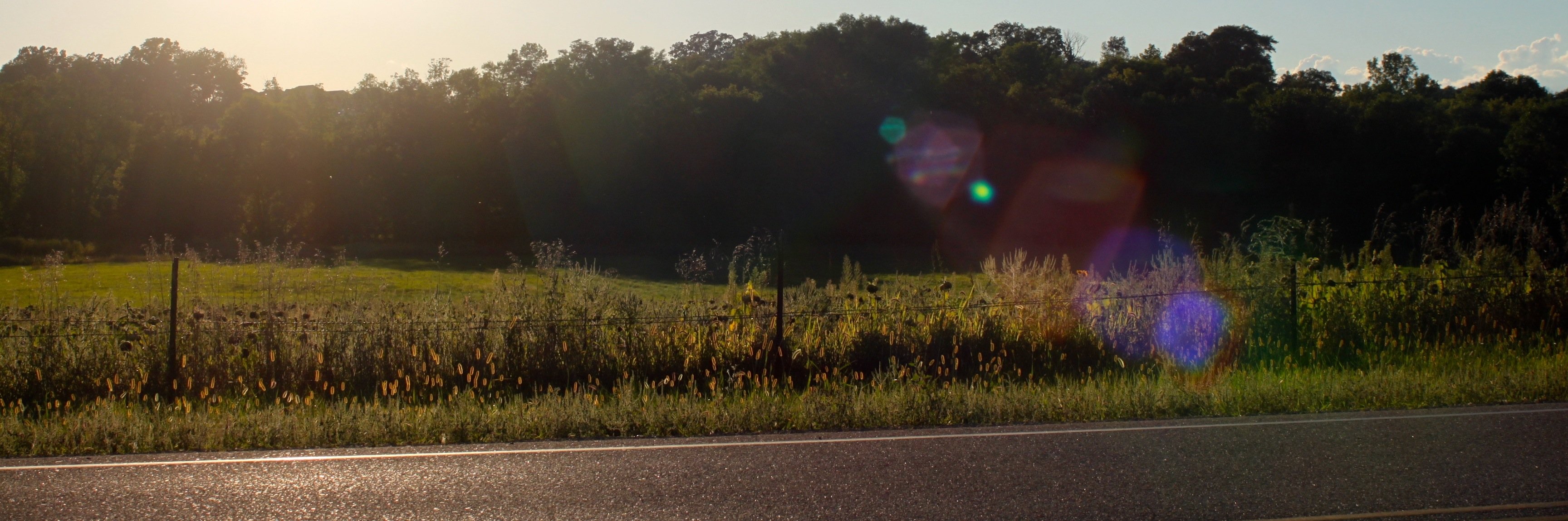 MitchellRudolph's profile banner image