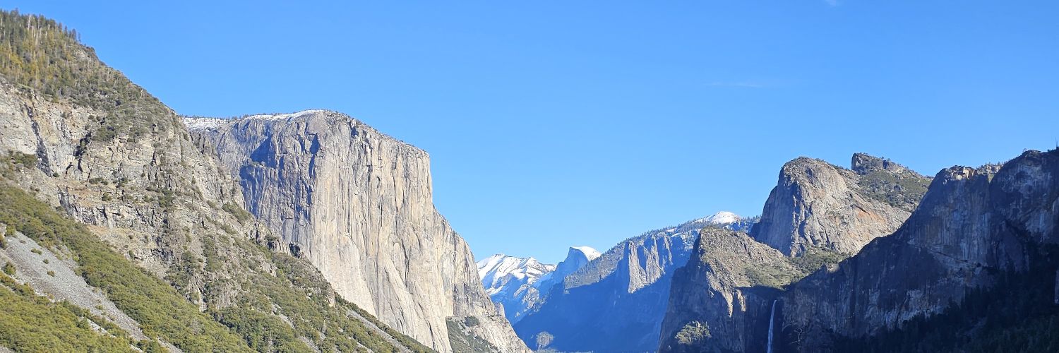 bubbasax's profile banner image