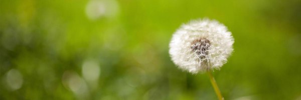 E_R_Robles Profile Banner