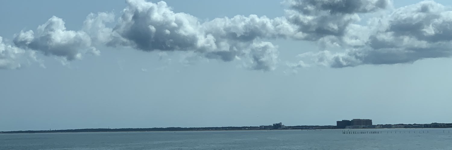 Nivedita seshadri banner