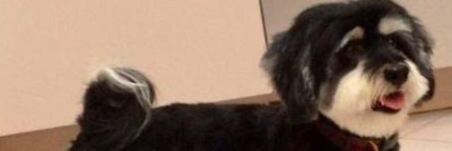 ellenmeyers_'s profile banner image