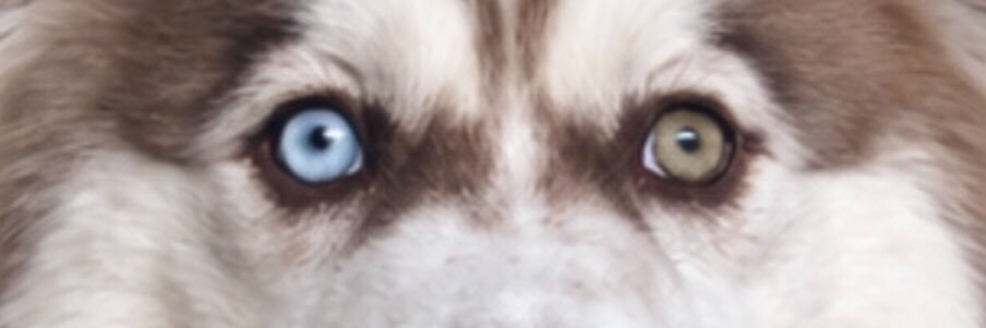 nfodeem's profile banner image