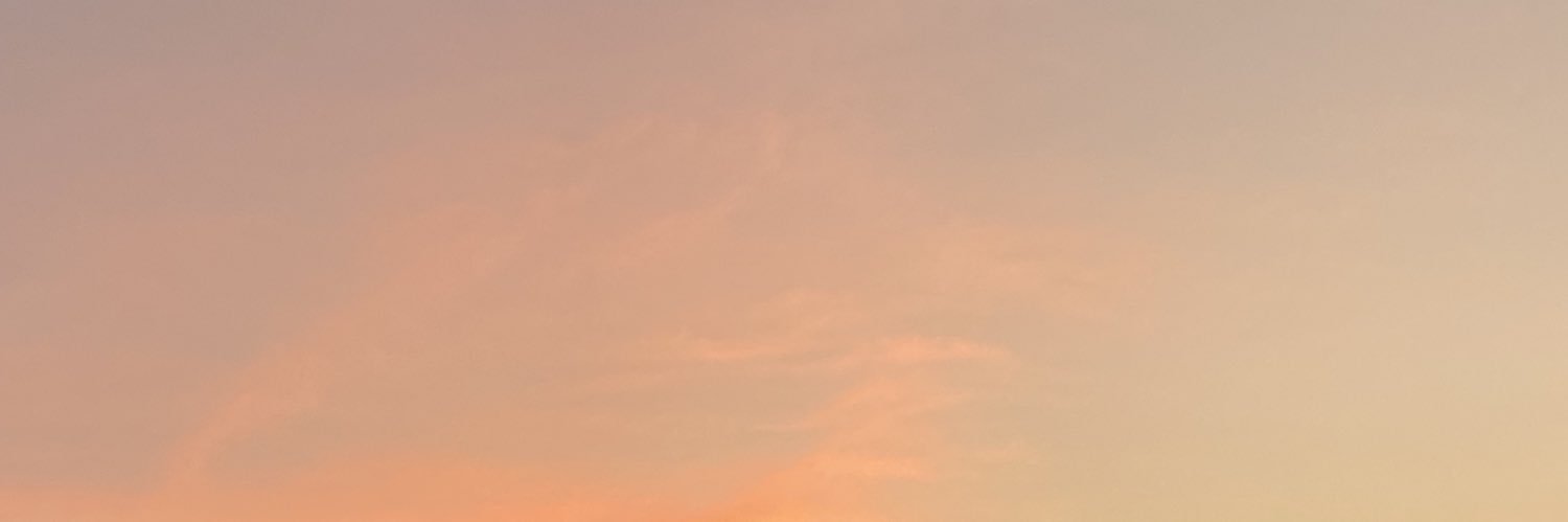meelsrr's profile banner image