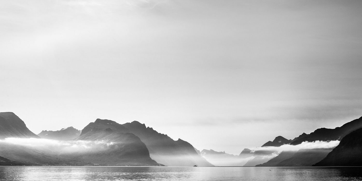 ZachLepard's profile banner image