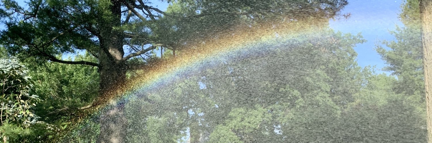 LLazearBeauty's profile banner image