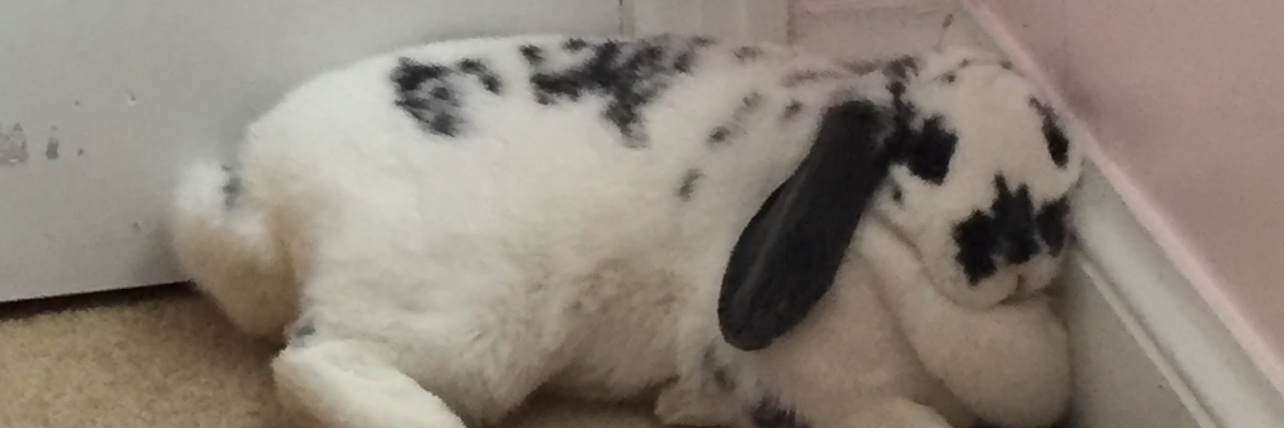 murdermadison's profile banner image