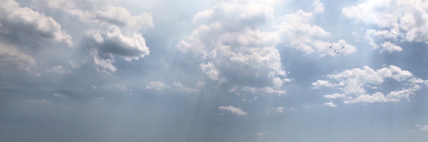megss_17's profile banner image
