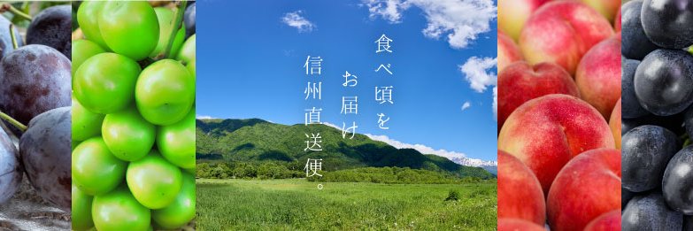 noukachokubai's profile banner image