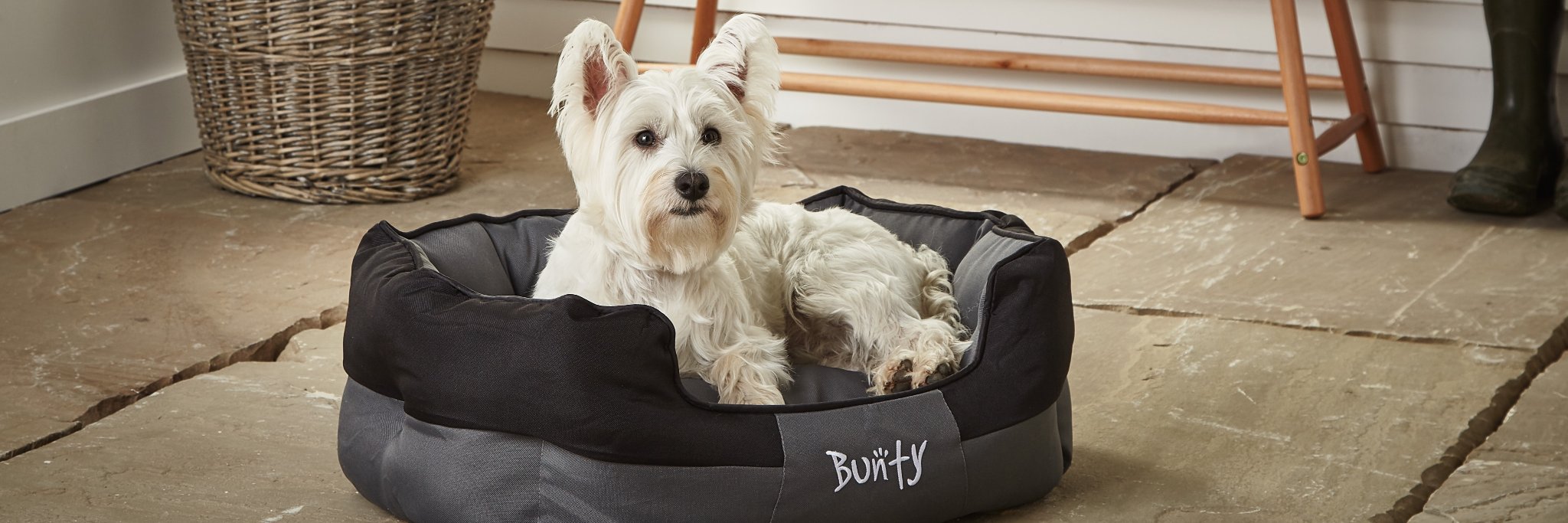 BuntyPets's profile banner image