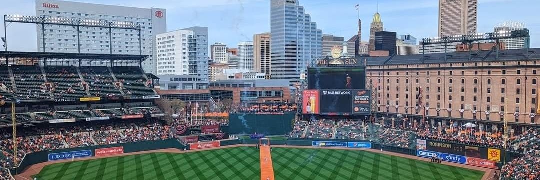 Sushgirl🍣 UndoTrump.org banner